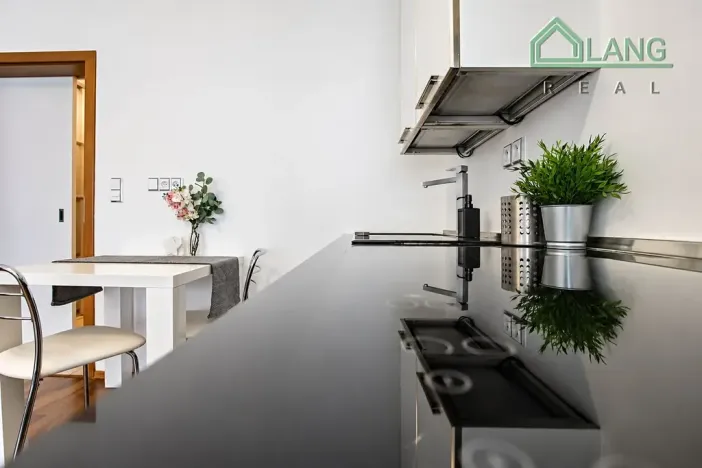 Pronájem bytu 1+kk, Brno, Hybešova, 36 m2