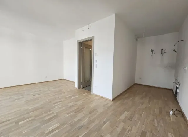Pronájem bytu 1+kk, Praha, Hartigova, 44 m2