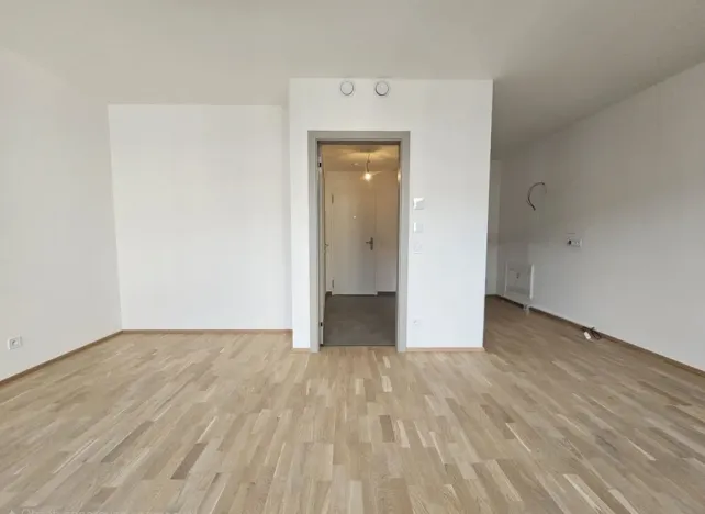 Pronájem bytu 1+kk, Praha, Hartigova, 44 m2