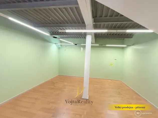 Prodej činžovního domu, Olomouc, Riegrova, 824 m2