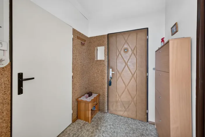 Prodej bytu 2+1, České Budějovice - České Budějovice 2, Větrná, 63 m2