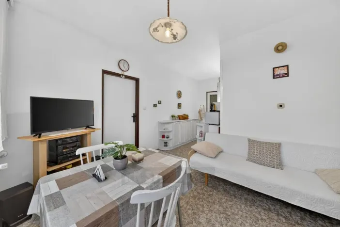 Prodej bytu 2+1, České Budějovice - České Budějovice 2, Větrná, 63 m2
