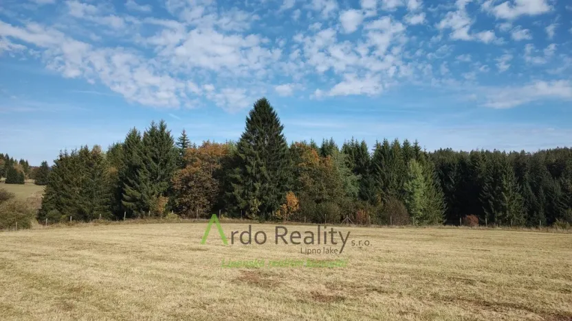 Prodej pozemku, Přední Výtoň, 13285 m2