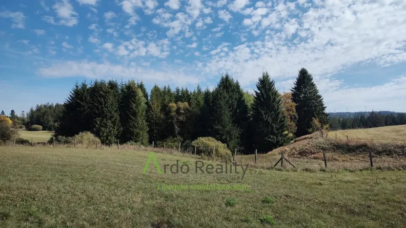 Prodej pozemku, Přední Výtoň, 13285 m2
