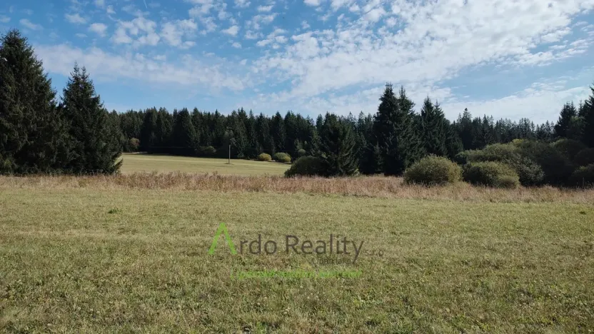 Prodej pozemku, Přední Výtoň, 13285 m2