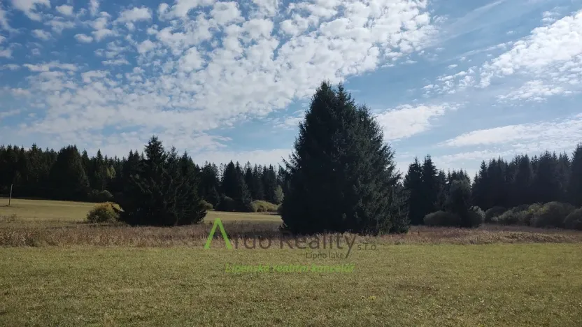 Prodej pozemku, Přední Výtoň, 13285 m2