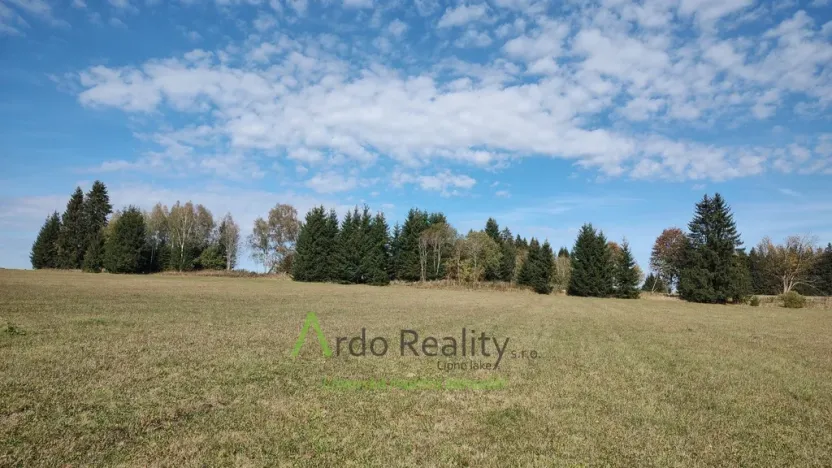 Prodej pozemku, Přední Výtoň, 13285 m2