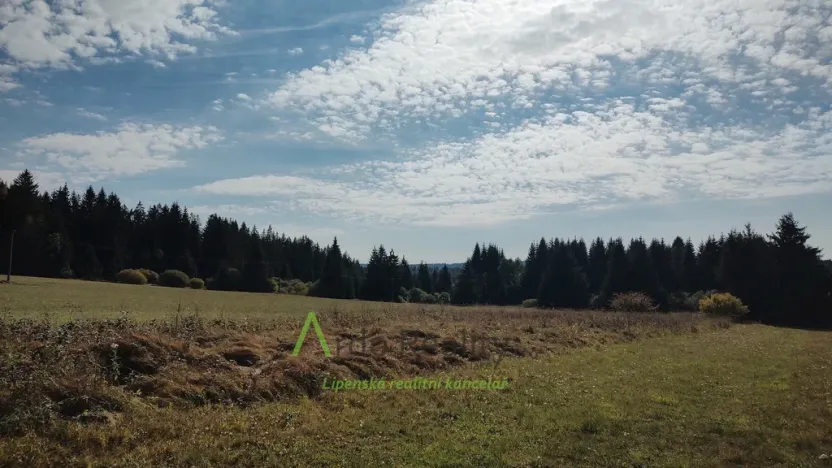 Prodej pozemku, Přední Výtoň, 13285 m2