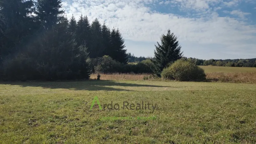 Prodej pozemku, Přední Výtoň, 13285 m2