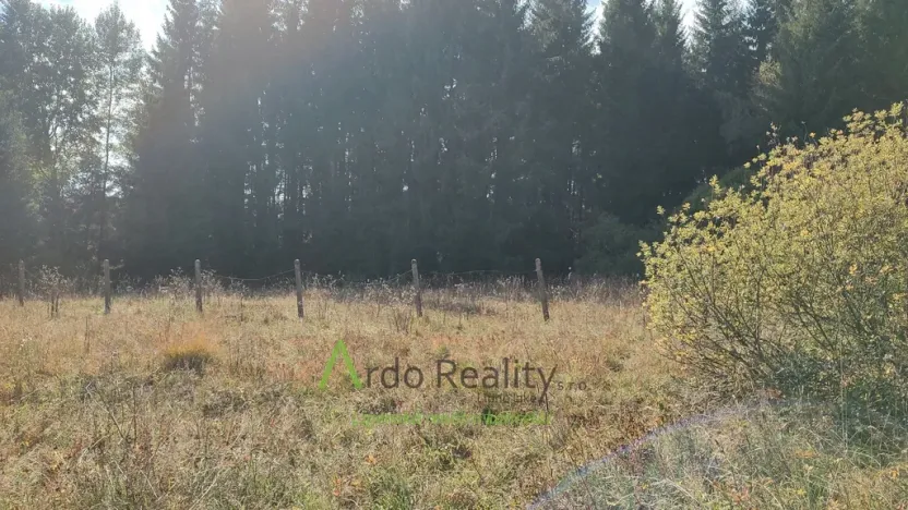 Prodej pozemku, Přední Výtoň, 13285 m2
