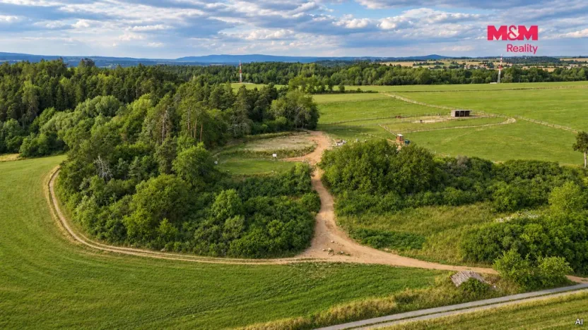 Pronájem komerčního pozemku, Planá, 33448 m2