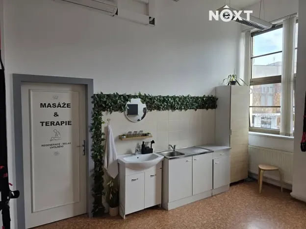 Pronájem ordinace, Mělník, Nová, 42 m2