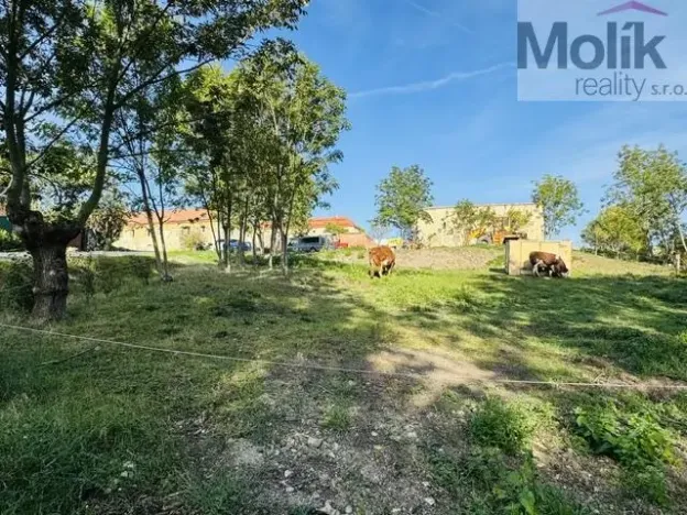 Prodej pozemku pro bydlení, Lipno - Lipenec, 852 m2