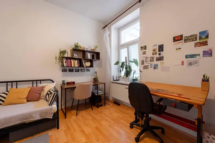 Pronájem bytu 1+1, Olomouc, Palackého, 35 m2