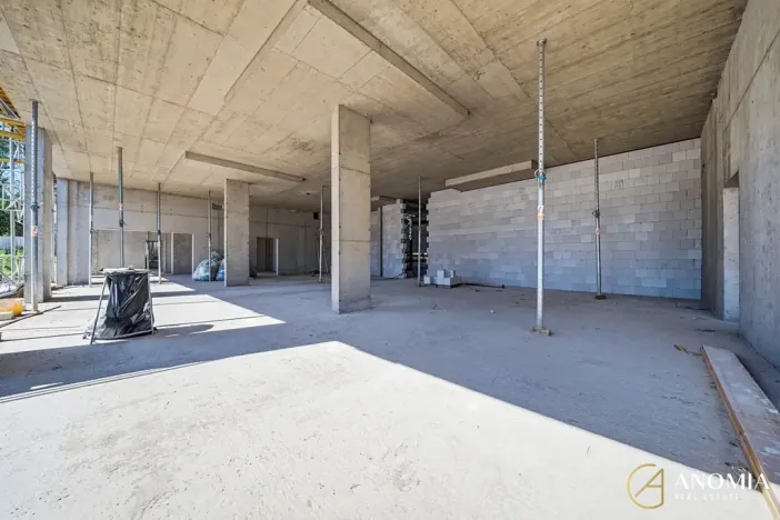 Prodej obchodního prostoru, Brno, 172 m2