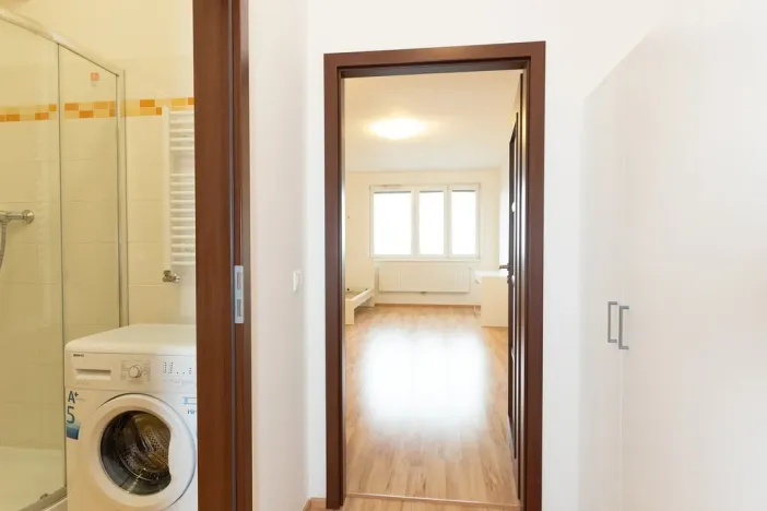 Prodej bytu 1+kk, Praha - Vysočany, Freyova, 33 m2