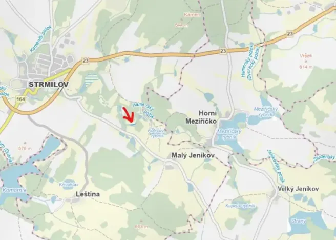 Prodej lesa, Strmilov, 881 m2