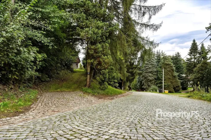 Prodej chaty, Vysoká Srbská, 140 m2