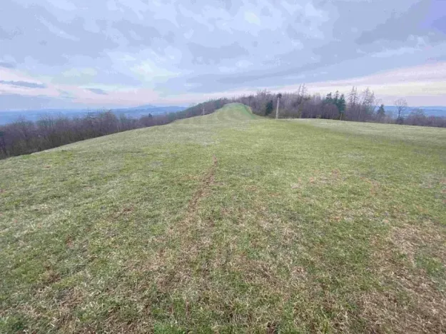 Dražba louky, Mírová pod Kozákovem, 14714 m2