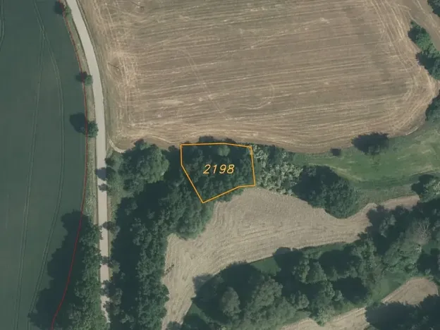 Dražba louky, Pluhův Žďár, 1175 m2