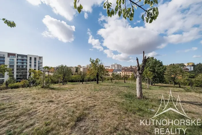 Prodej bytu 2+kk, Praha - Žižkov, Spojovací, 40 m2