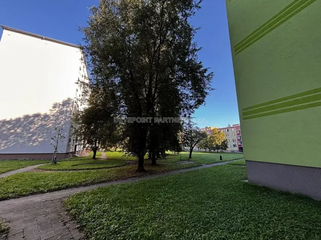 Prodej bytu 1+1, Přerov, U Tenisu, 40 m2