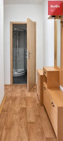 Pronájem bytu 1+1, Opava, 17. listopadu, 38 m2