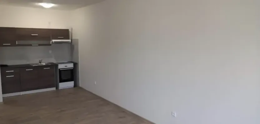 Pronájem bytu 1+kk, Mostkovice, 38 m2