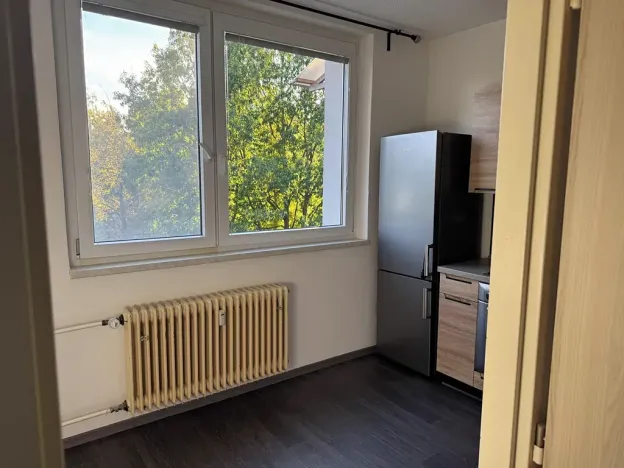 Pronájem bytu 1+1, Jihlava, Březinova, 32 m2