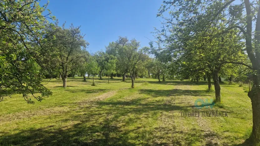 Prodej rodinného domu, Oprostovice, 330 m2