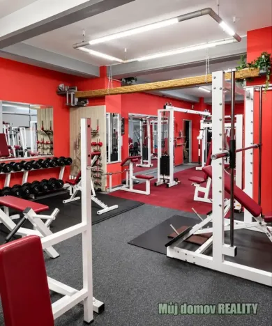 Pronájem obchodního prostoru, Praha - Libeň, 90 m2