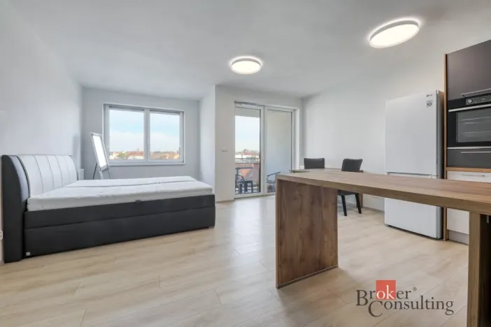 Pronájem bytu 1+kk, Plzeň - Jižní Předměstí, Boettingerova, 36 m2