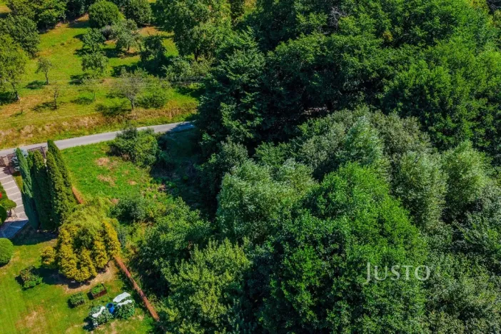 Prodej zahrady, Železný Brod - Bzí, 1086 m2