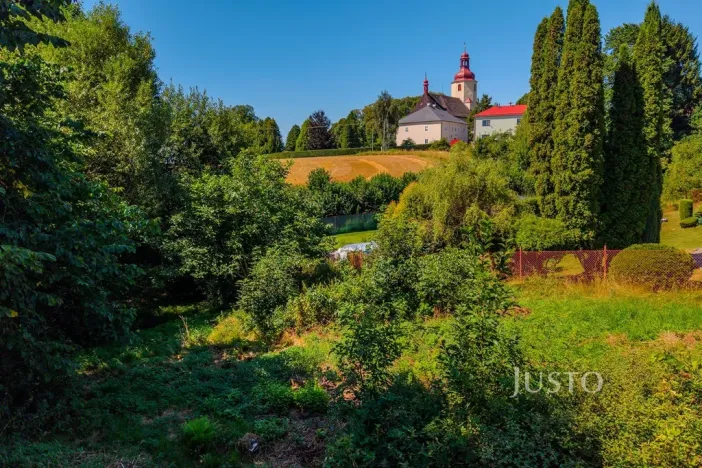 Prodej zahrady, Železný Brod - Bzí, 1086 m2
