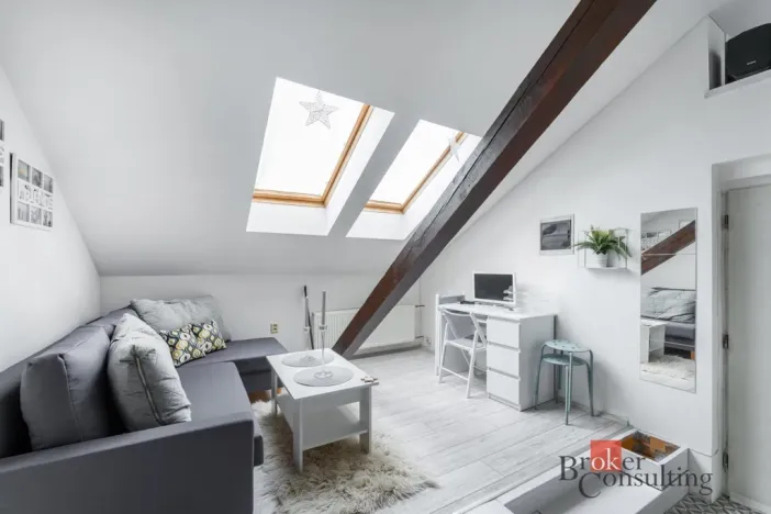Pronájem bytu 1+kk, Praha - Nové Město, Vladislavova, 26 m2