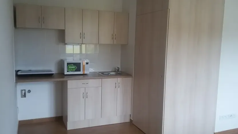 Pronájem bytu 1+kk, Přáslavice, 25 m2
