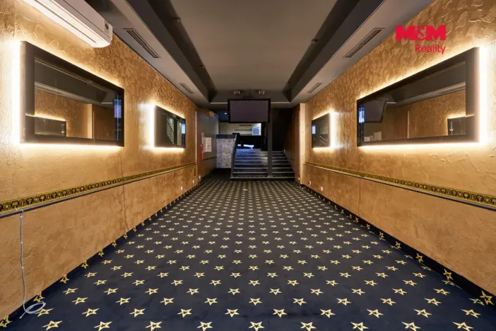 Pronájem obchodního prostoru, Uherský Brod, Moravská, 205 m2