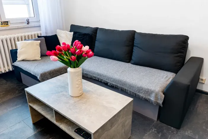 Prodej bytu 1+kk, Český Těšín, Ostravská, 31 m2