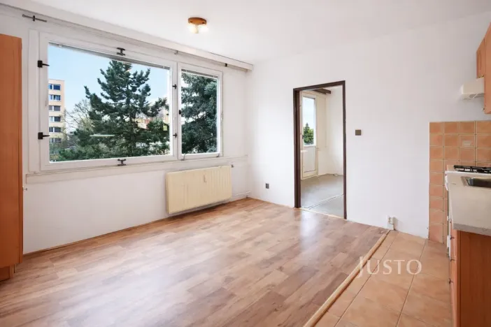 Pronájem bytu 1+1, Písek - Budějovické Předměstí, třída Přátelství, 38 m2