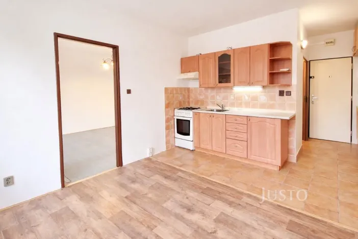 Pronájem bytu 1+1, Písek - Budějovické Předměstí, třída Přátelství, 38 m2