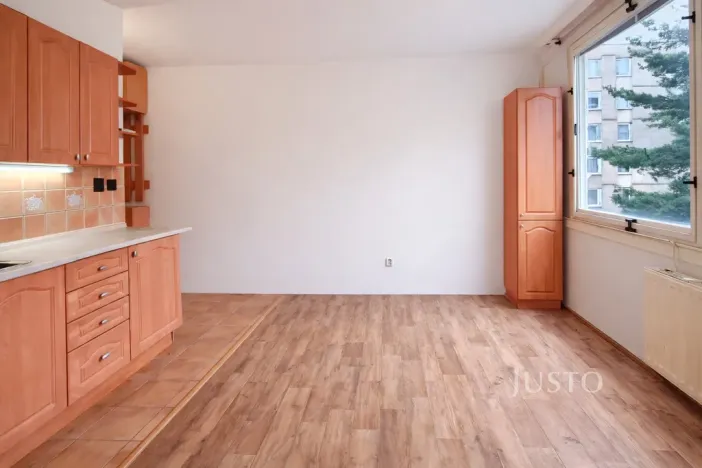 Pronájem bytu 1+1, Písek - Budějovické Předměstí, třída Přátelství, 38 m2