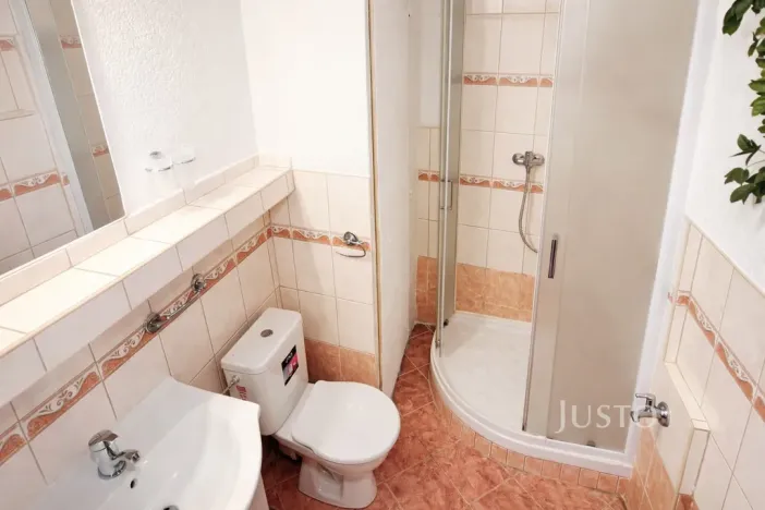 Pronájem bytu 1+1, Písek - Budějovické Předměstí, třída Přátelství, 38 m2