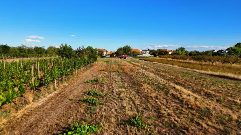 Prodej pozemku pro bydlení, Lanžhot, Vinohrady, 721 m2
