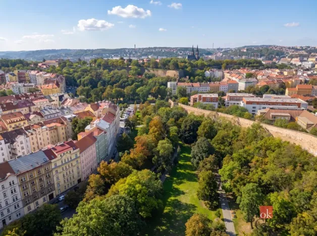 Prodej bytu 2+kk, Praha - Nusle, Oldřichova, 50 m2
