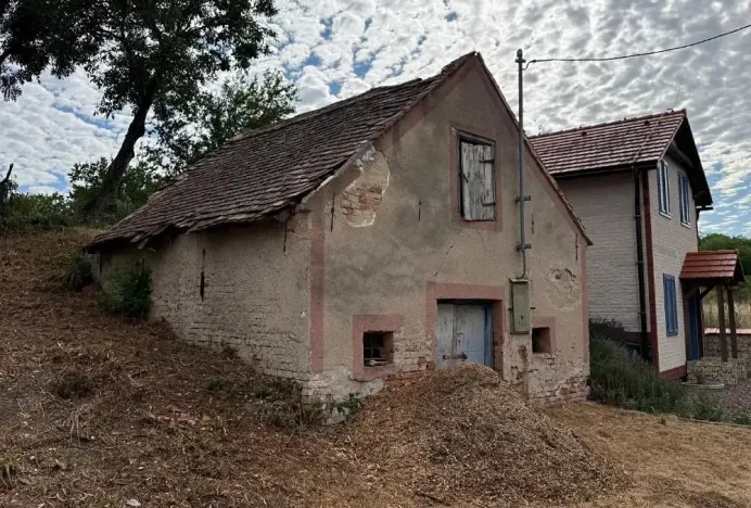 Prodej vinného sklepa, Novosedly, 136 m2