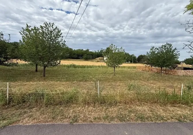 Prodej vinného sklepa, Novosedly, 136 m2