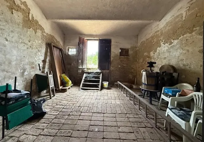 Prodej vinného sklepa, Novosedly, 136 m2