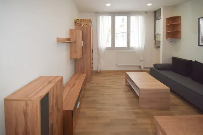 Pronájem bytu 1+kk, Úněšov, 20 m2
