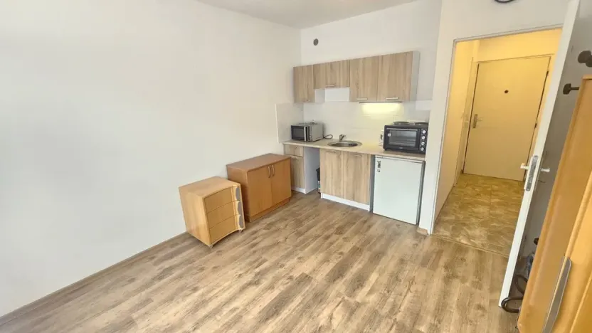 Pronájem bytu 1+kk, Ústí nad Labem - Severní Terasa, Pod Parkem, 19 m2