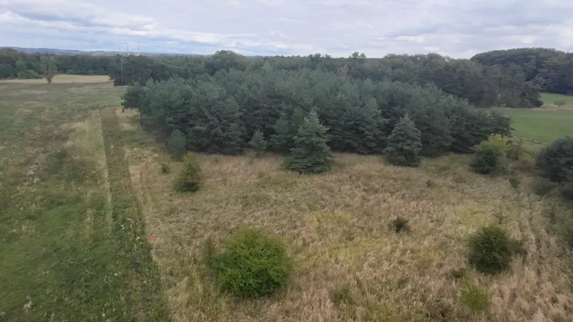 Prodej pozemku, Bechlín - Předonín, 15382 m2